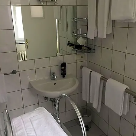 Stadt Mainz 호텔