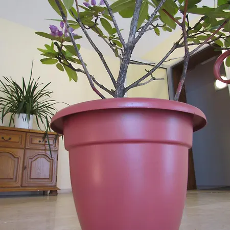 Stadt Mainz 3* Schwabenheim an der Selz