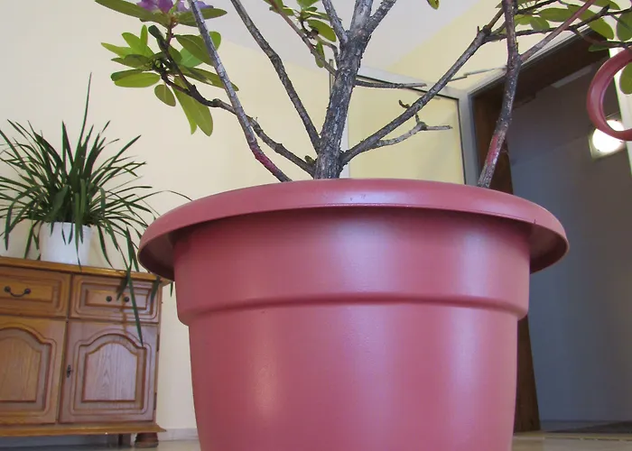 Stadt Mainz 3* Schwabenheim an der Selz