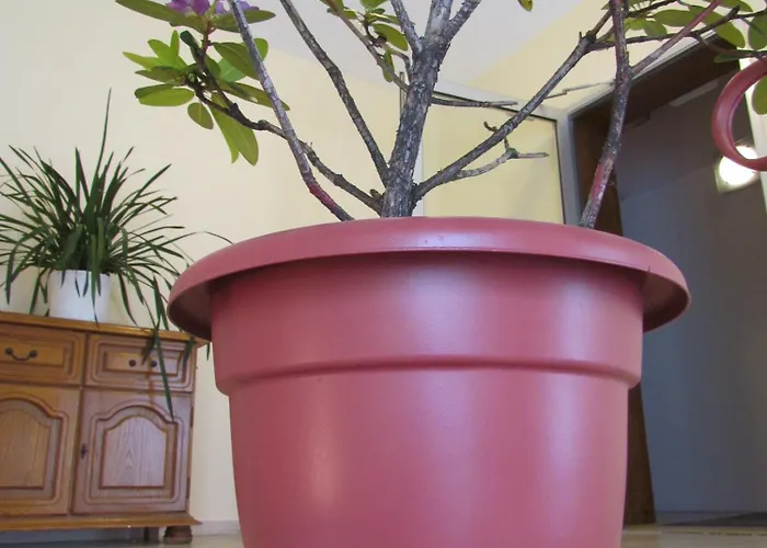 Stadt Mainz 3* Schwabenheim an der Selz